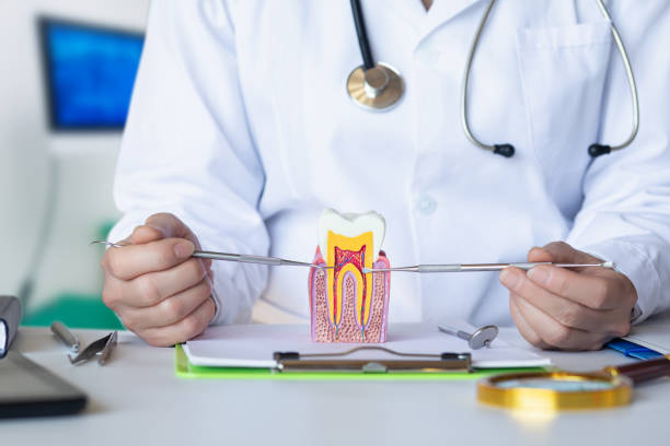 Best Emergency Broken Tooth Repair in Westlake Village, CA
